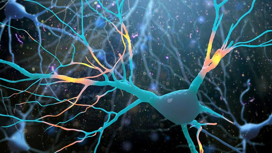 New Compound Discovered Bringing Scientists One Step Closer to Finding a Cure for ALS