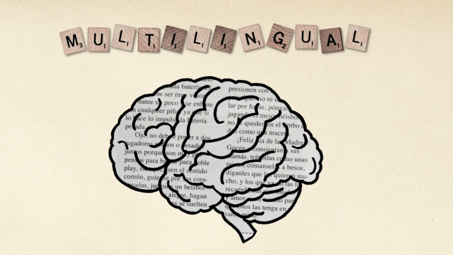 The+Brain+Series%3A+Bilingualism