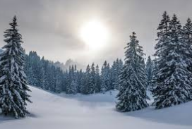 5 Best Winter Break Activities