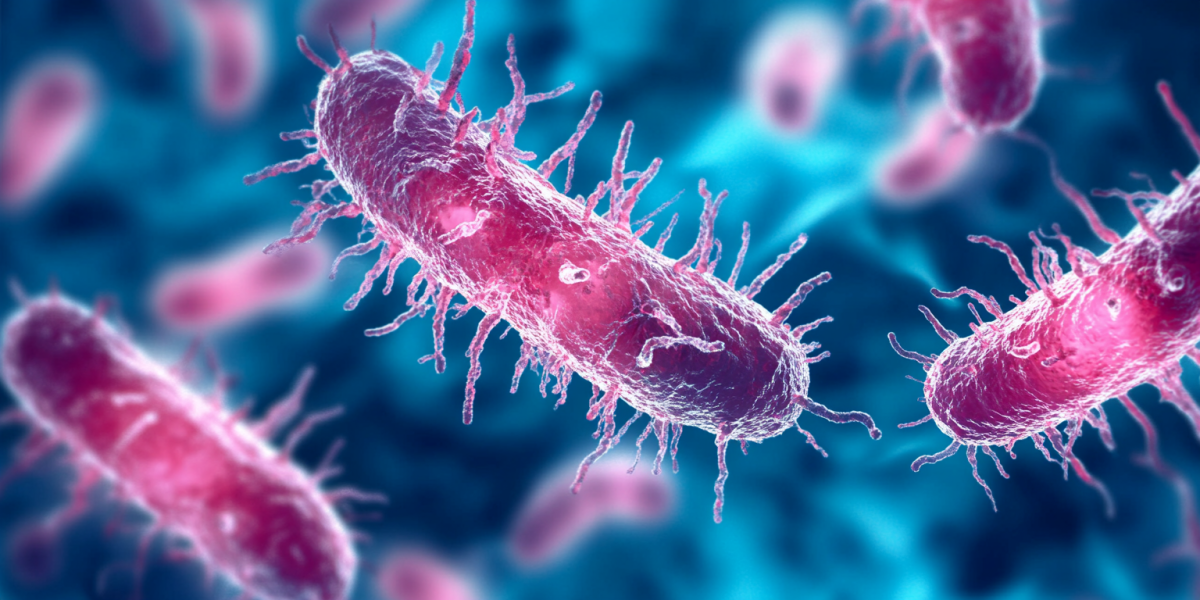 Listeria Outbreak in Poultry and Deli Meats