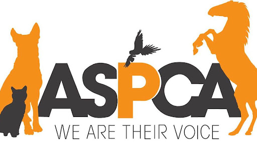 Advocating for the ASPCA